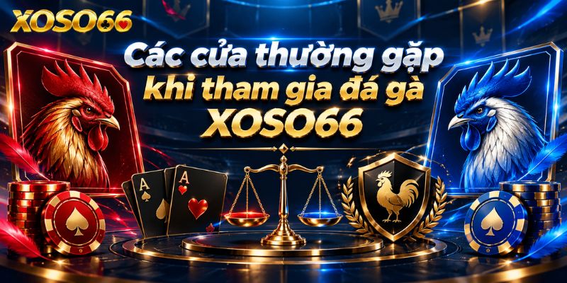 Đá Gà XOSO66 – Cách Đọc Kèo Và Hiểu Quy Tắc Trước Khi Tham Gia 2 Các cửa thường gặp khi tham gia đá gà XOSO66