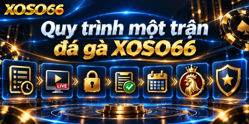 Đá Gà XOSO66 – Cách Đọc Kèo Và Hiểu Quy Tắc Trước Khi Tham Gia 4 Quy trình một trận đá gà XOSO66